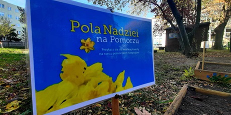 Powiększ grafikę: POLA NADZIEI - kwesta na rzecz pomorskich hospicjów